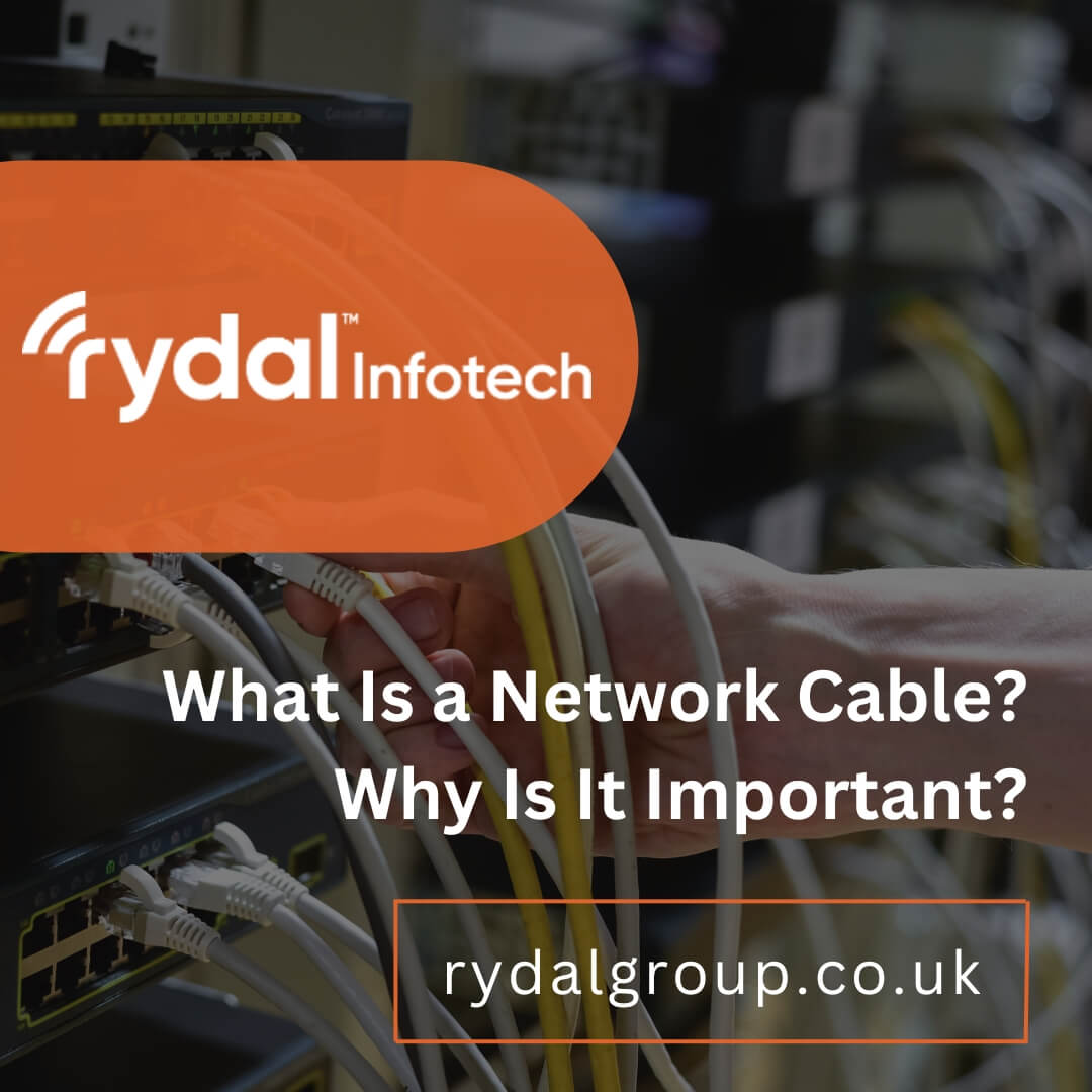 What Is a Network Cable Why Is It Important